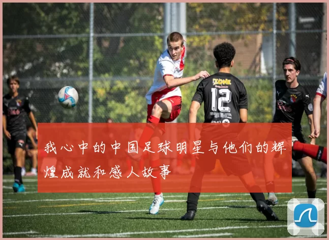 我心中的中国足球明星与他们的辉煌成就和感人故事