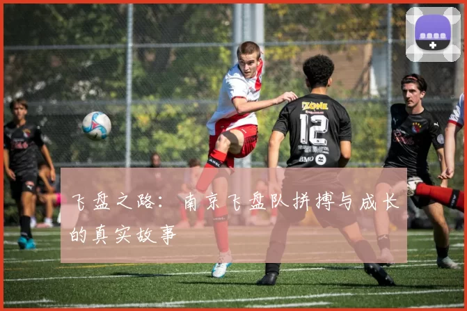飞盘之路：南京飞盘队拼搏与成长的真实故事