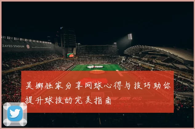 吴娜独家分享网球心得与技巧助你提升球技的完美指南