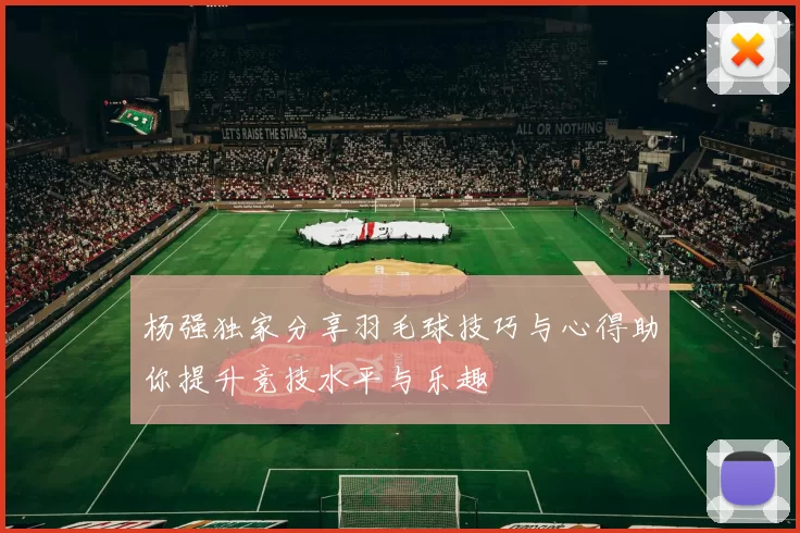 杨强独家分享羽毛球技巧与心得助你提升竞技水平与乐趣