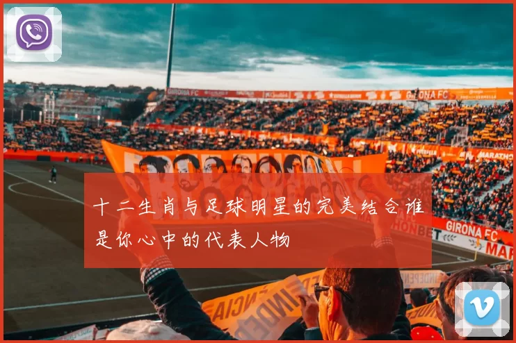 十二生肖与足球明星的完美结合谁是你心中的代表人物