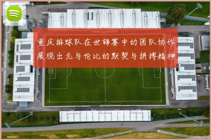 重庆排球队在世锦赛中的团队协作展现出无与伦比的默契与拼搏精神