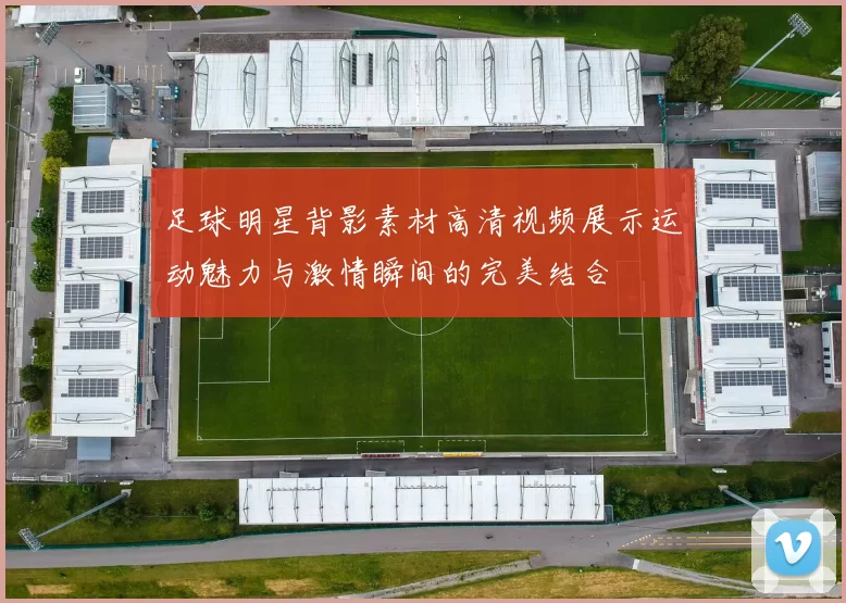 足球明星背影素材高清视频展示运动魅力与激情瞬间的完美结合