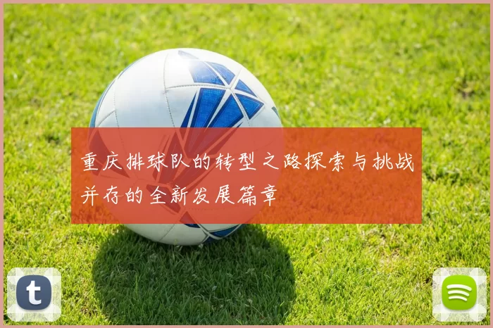 重庆排球队的转型之路探索与挑战并存的全新发展篇章