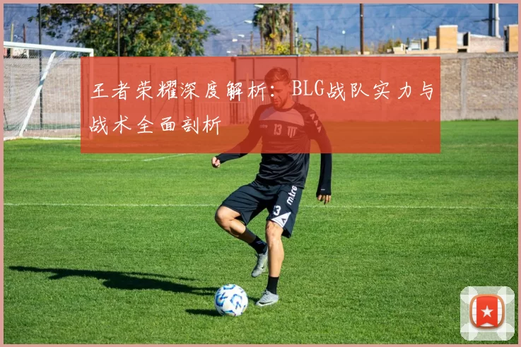 王者荣耀深度解析：BLG战队实力与战术全面剖析