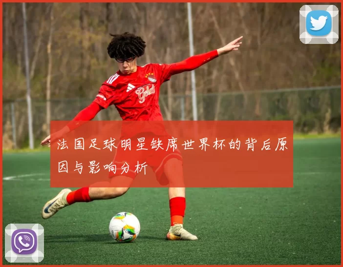法国足球明星缺席世界杯的背后原因与影响分析