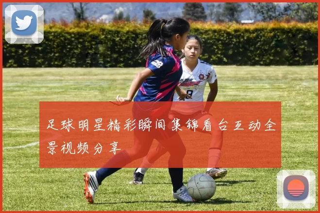 足球明星精彩瞬间集锦看台互动全景视频分享