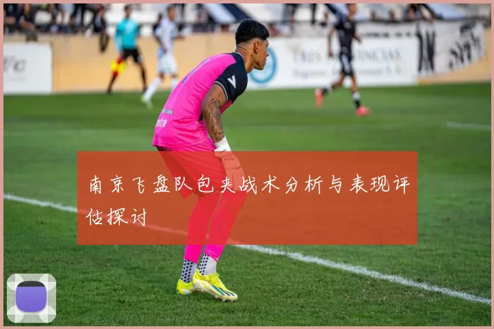 南京飞盘队包夹战术分析与表现评估探讨
