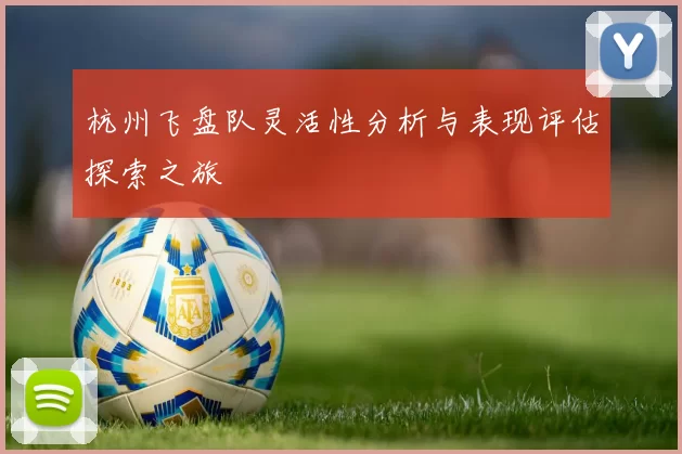 杭州飞盘队灵活性分析与表现评估探索之旅