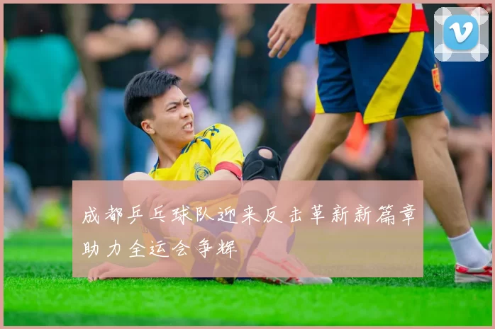 成都乒乓球队迎来反击革新新篇章助力全运会争辉