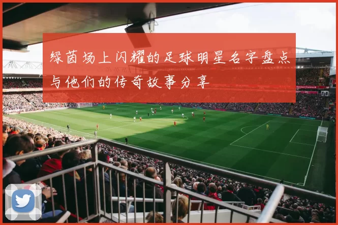 绿茵场上闪耀的足球明星名字盘点与他们的传奇故事分享