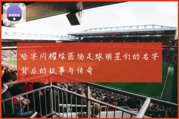 哈字闪耀绿茵场足球明星们的名字背后的故事与传奇