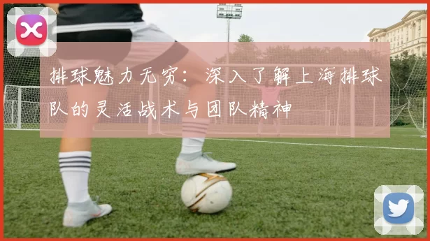 排球魅力无穷：深入了解上海排球队的灵活战术与团队精神