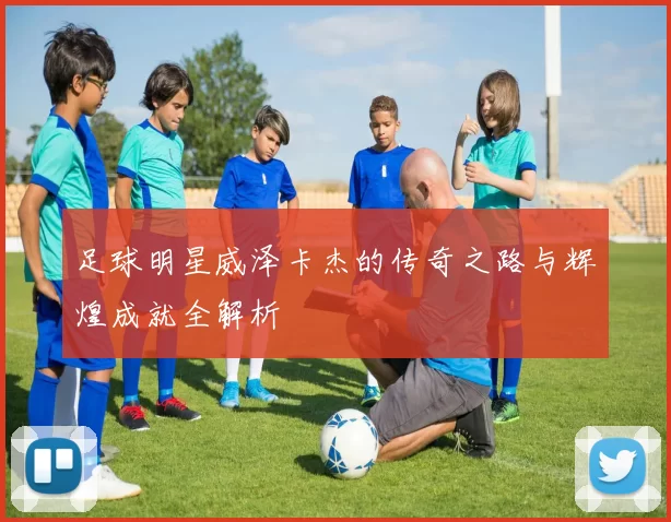 足球明星威泽卡杰的传奇之路与辉煌成就全解析