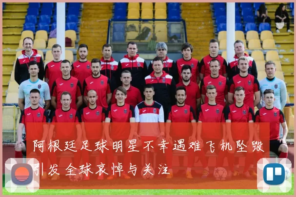 阿根廷足球明星不幸遇难飞机坠毁引发全球哀悼与关注