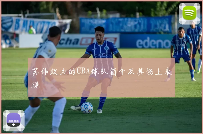 苏伟效力的CBA球队简介及其场上表现