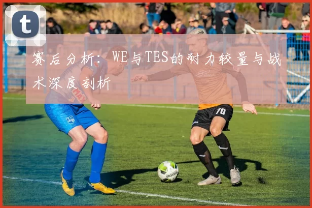 赛后分析：WE与TES的耐力较量与战术深度剖析