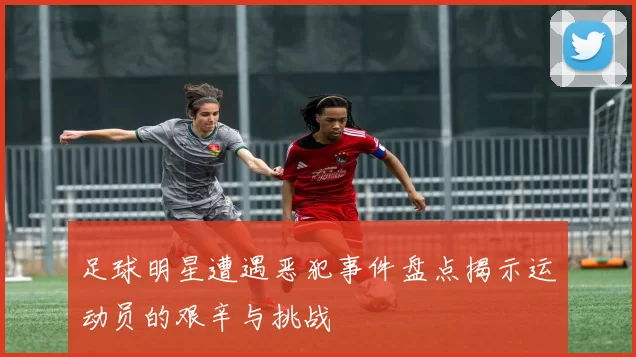 足球明星遭遇恶犯事件盘点揭示运动员的艰辛与挑战