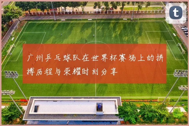 广州乒乓球队在世界杯赛场上的拼搏历程与荣耀时刻分享