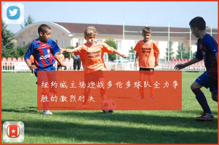 纽约城主场迎战多伦多球队全力争胜的激烈对决