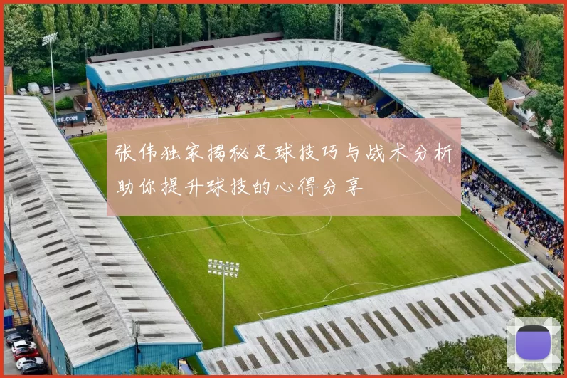 张伟独家揭秘足球技巧与战术分析助你提升球技的心得分享