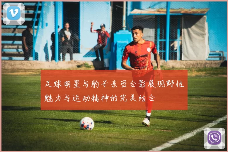 足球明星与豹子亲密合影展现野性魅力与运动精神的完美结合
